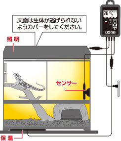 GEX 爬虫類用タイマーサーモ