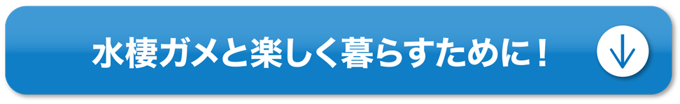 水棲ガメと楽しく暮らすために！