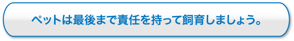 ペットは最後まで責任を持って飼育しましょう。