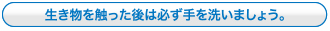 生き物を触った後は必ず手を洗いましょう。