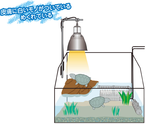 こんな場合は…