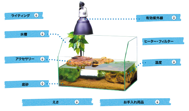 飼育ケージ・用品について 爬虫類情報 | 爬虫類用品・エキゾテラの 