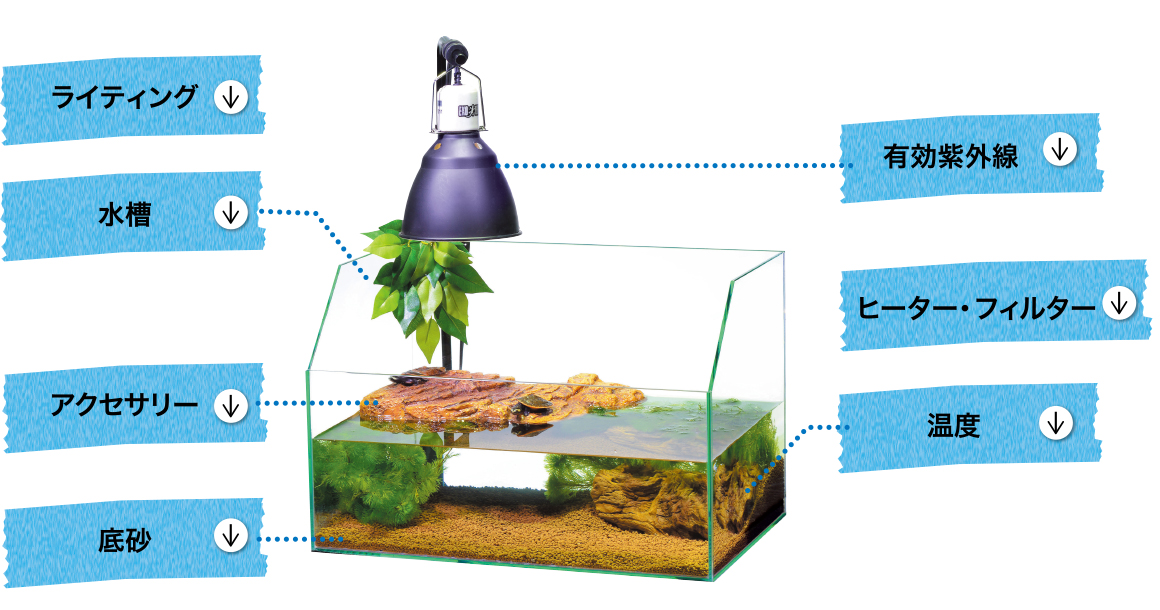 飼育ケージ・用品について 爬虫類情報 | 爬虫類用品・エキゾテラの 