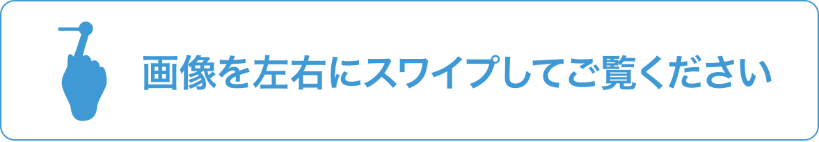 画像を左右にスワイプしてご覧ください