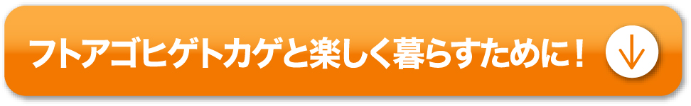 フトアゴヒゲトカゲと楽しく暮らすために！