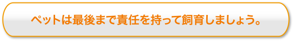 ペットは最後まで責任を持って飼育しましょう。