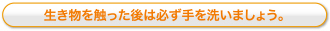 生き物を触った後は必ず手を洗いましょう。