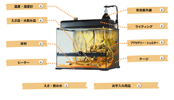 飼育ケージ・用品について 爬虫類情報 | 爬虫類用品・エキゾテラの