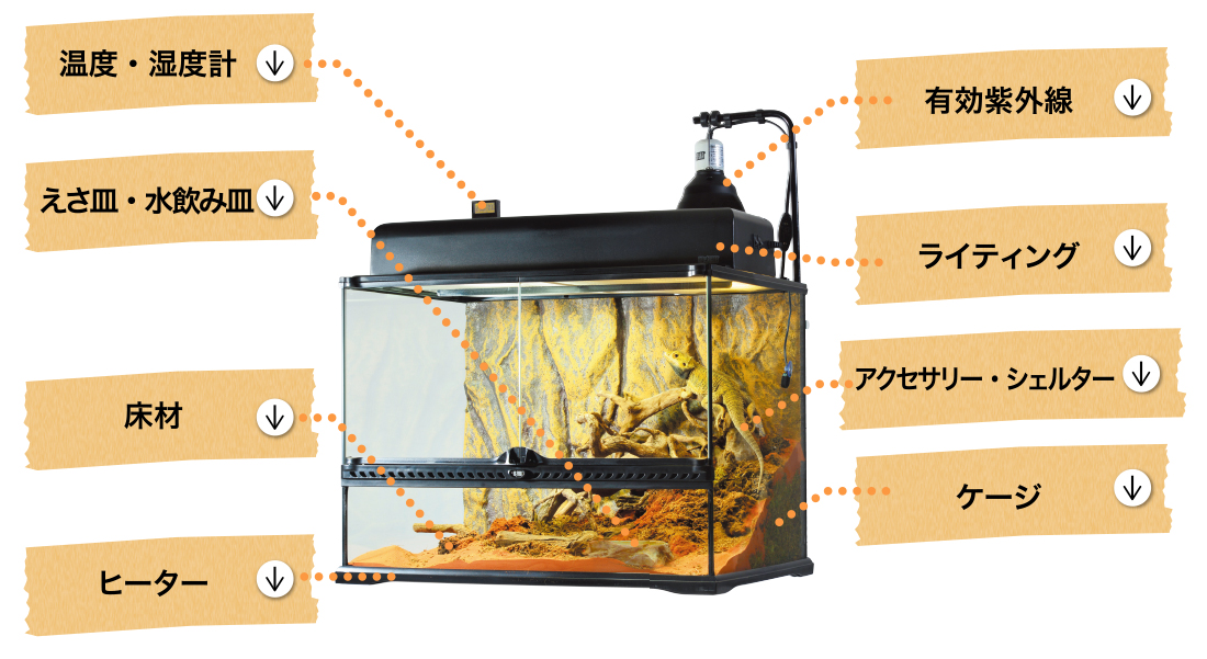 飼育ケージ・用品について 爬虫類情報 | 爬虫類用品・エキゾテラの