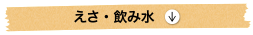 えさ・飲み水