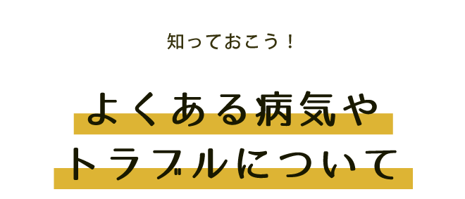 知っておこう！ よくある病気やトラブルについて