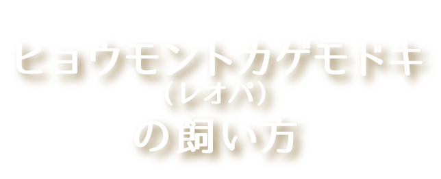 ヒョウモントカゲモドキ（レオパ）の飼い方