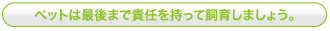 ペットは最後まで責任を持って飼育しましょう。