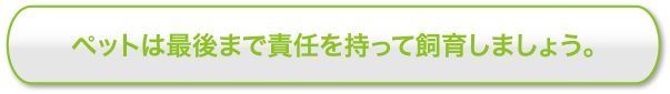 ペットは最後まで責任を持って飼育しましょう。