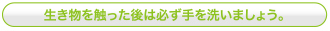 生き物を触った後は必ず手を洗いましょう。