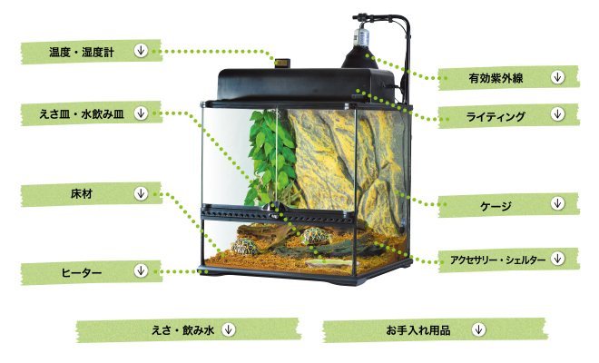 飼育に必要なもの