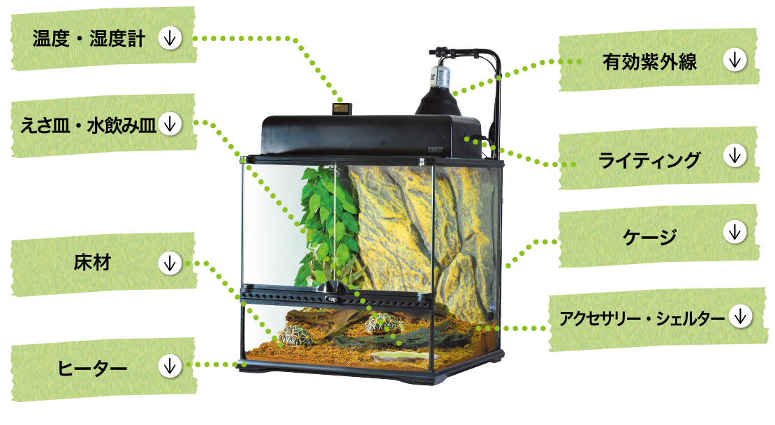 飼育に必要なもの