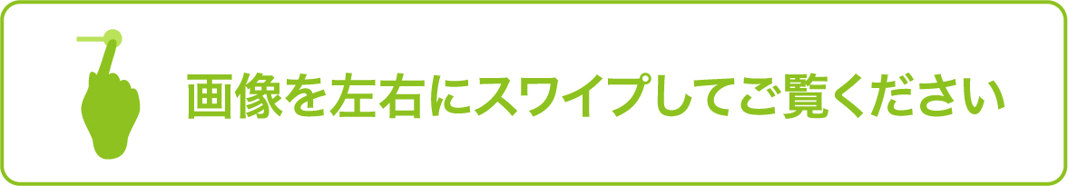 画像を左右にスワイプしてご覧ください