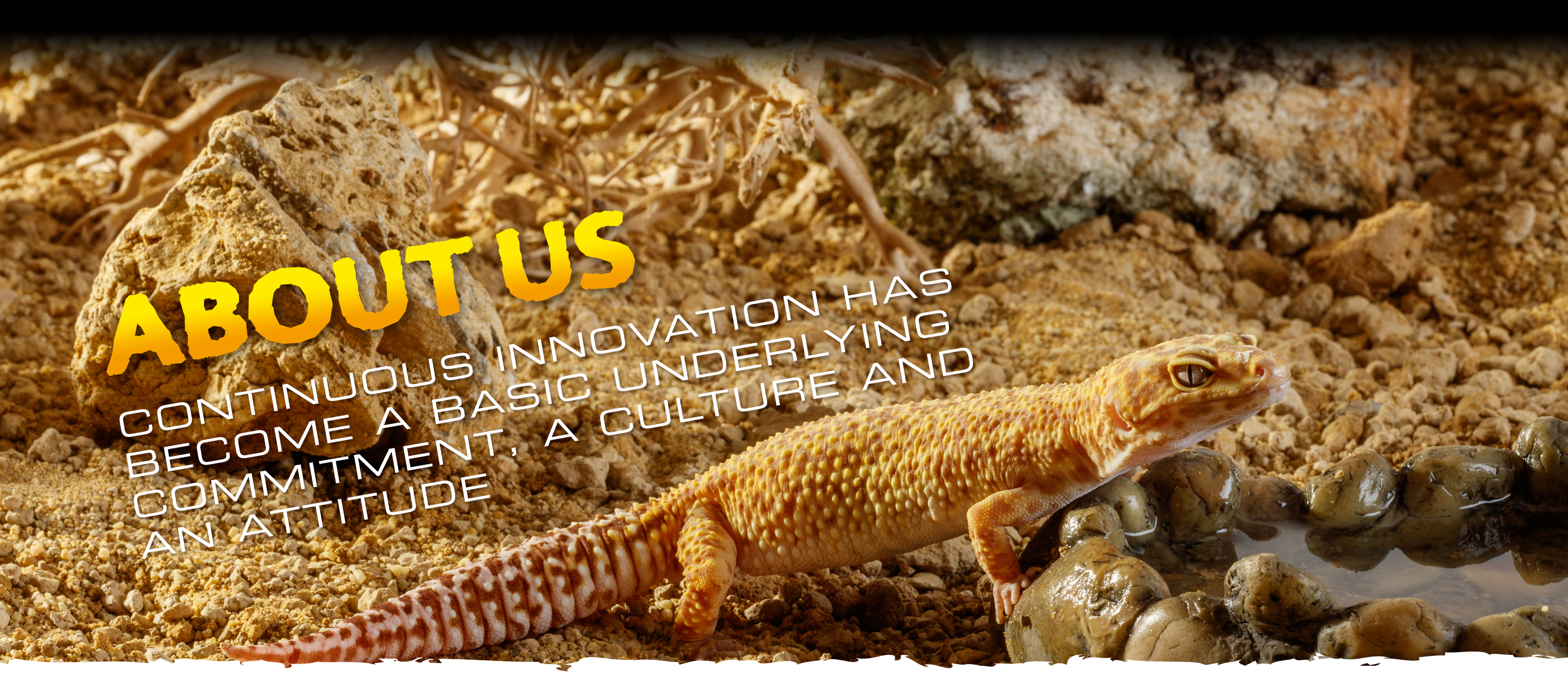 ABOUT US. CONTINUOUS INNOVATION HAS BECOME A BASIC UNDERLYING COMMITMENT, A CULTURE AND AN ATTITUDE.