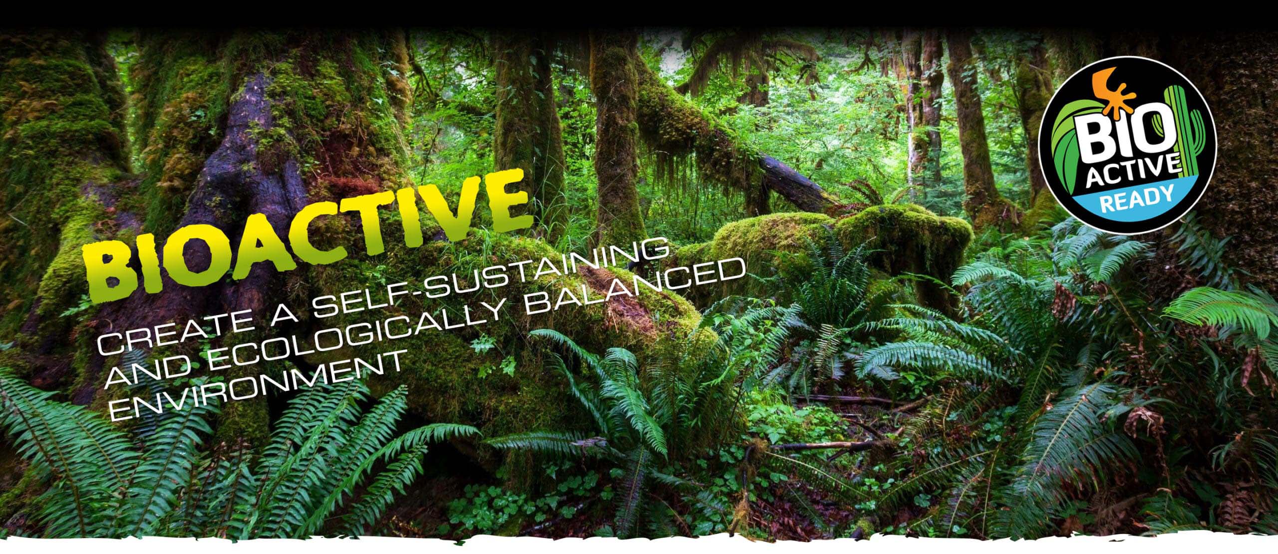 BIOACTIVE. CREATE A SELF-SUSTAINING AND ECOLOGICALLY BALANCED ENVIRONMENT