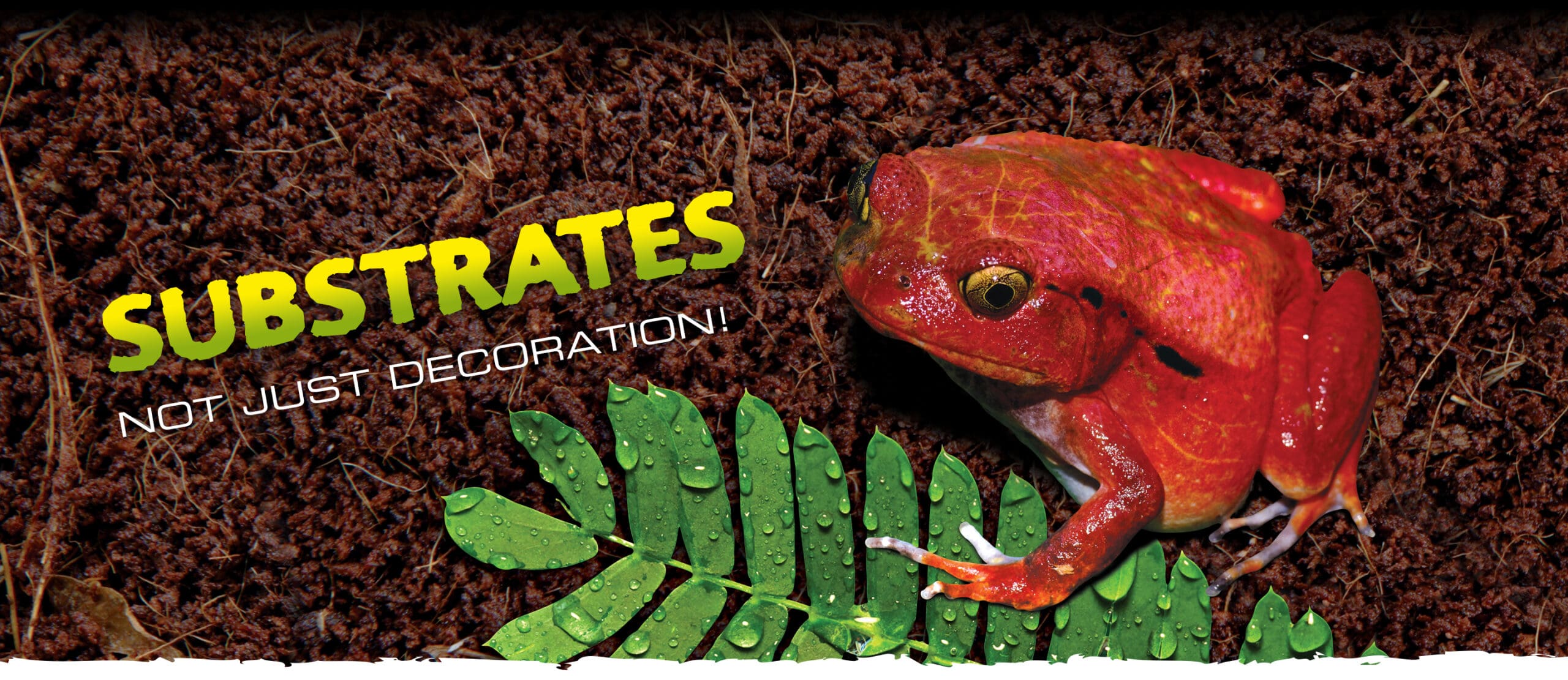 SUBSTRATES. NOT JUST DECORATION!