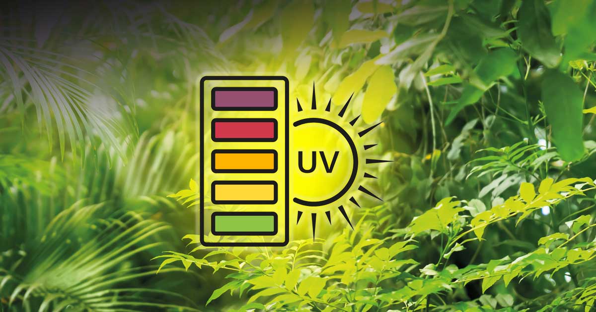 UVBとは？