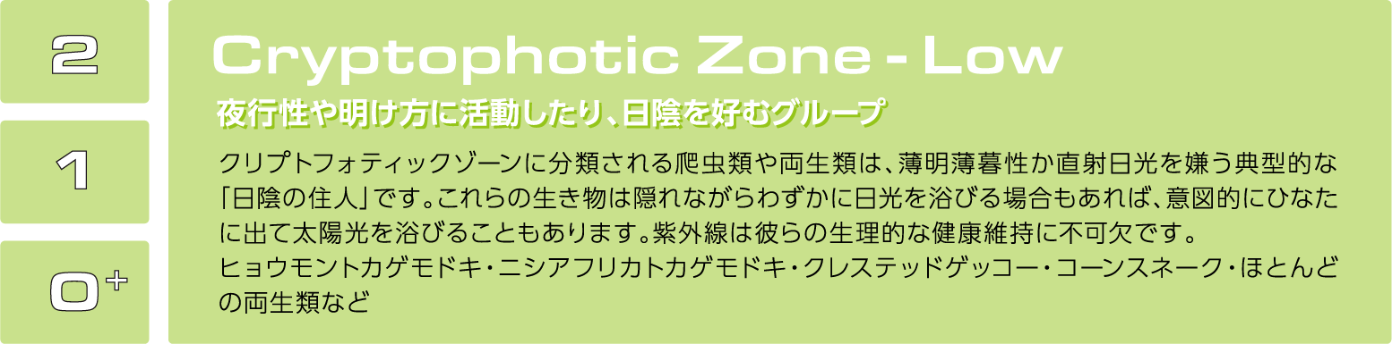 クリプトフォティックゾーン