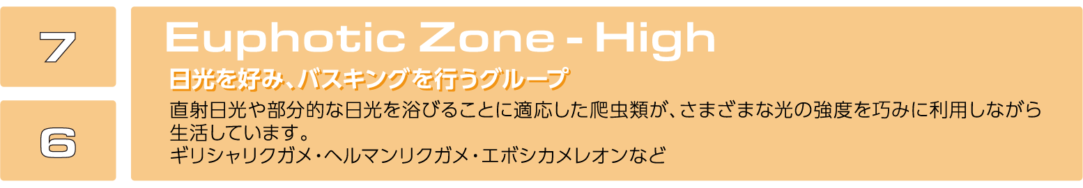 ユーフォティック・ゾーン