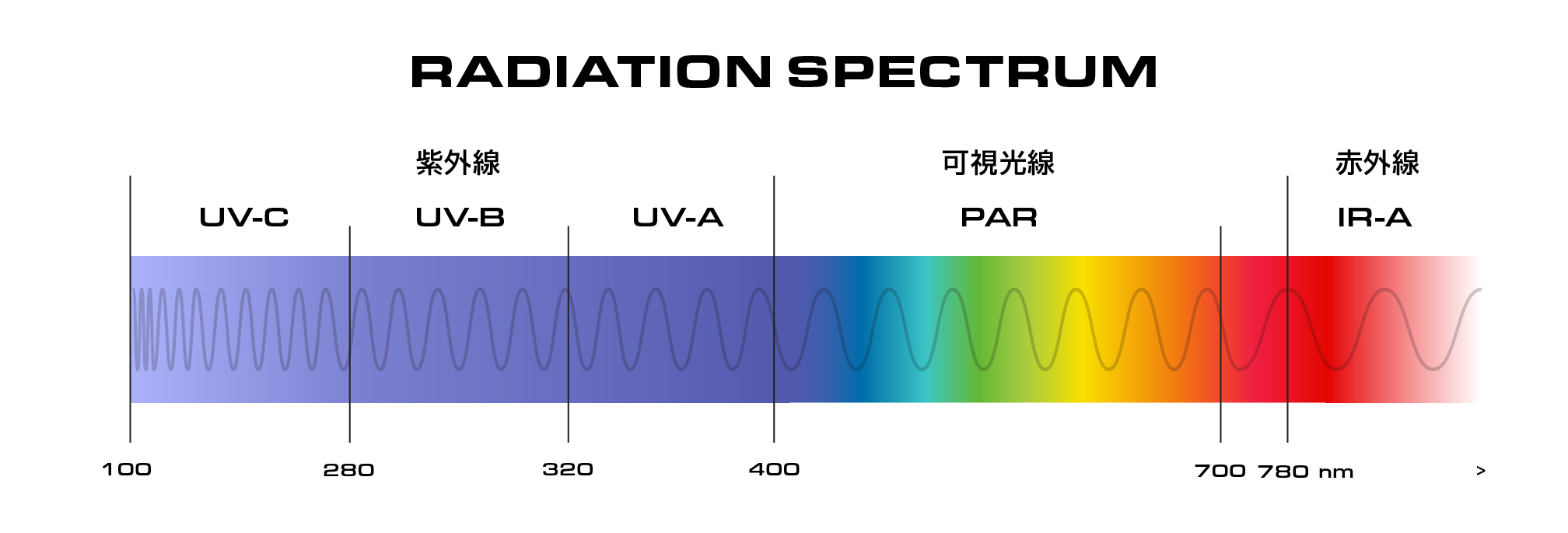 UVBとは?