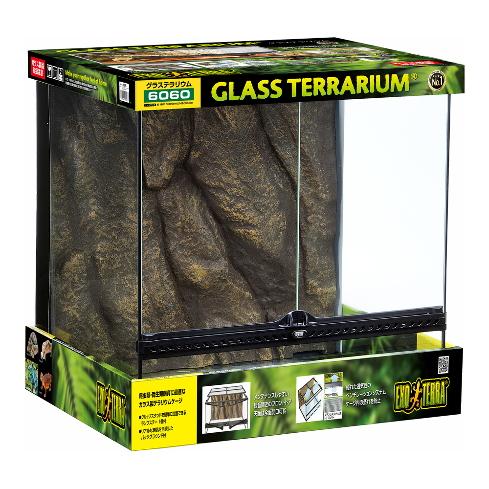 Natural Terrarium Large Tall