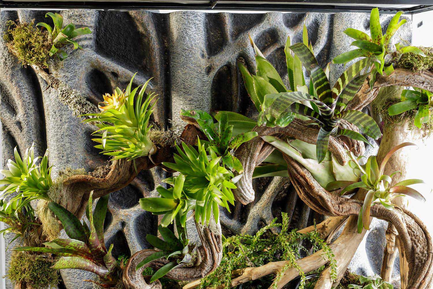 The Terrarium