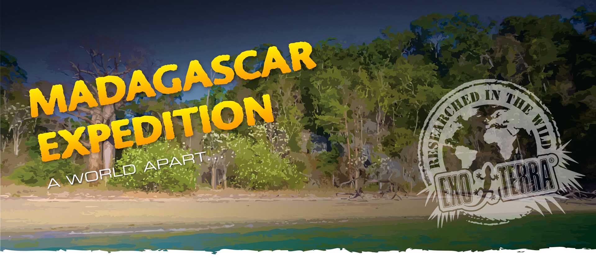 Madagascar マダガスカル