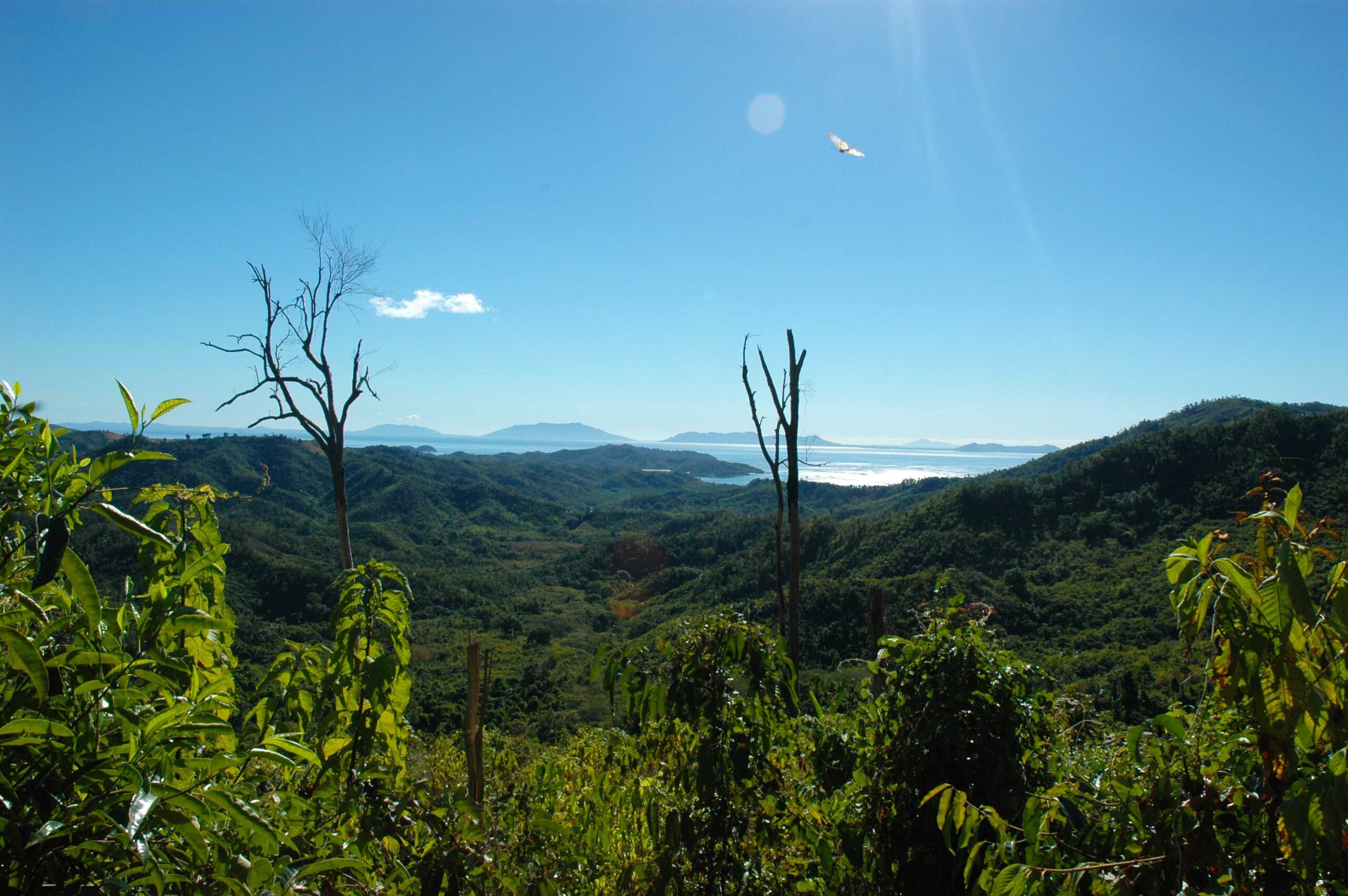 セーシェル自然保護信託