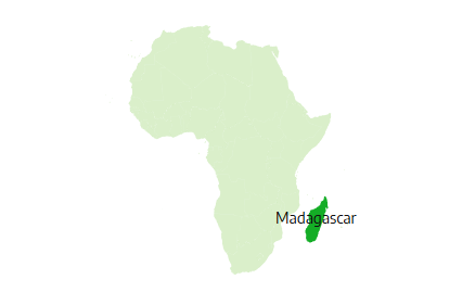 竹林の宝石たち II