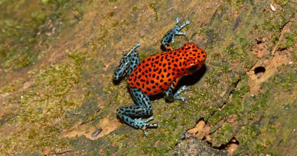 サン・クリストバル島