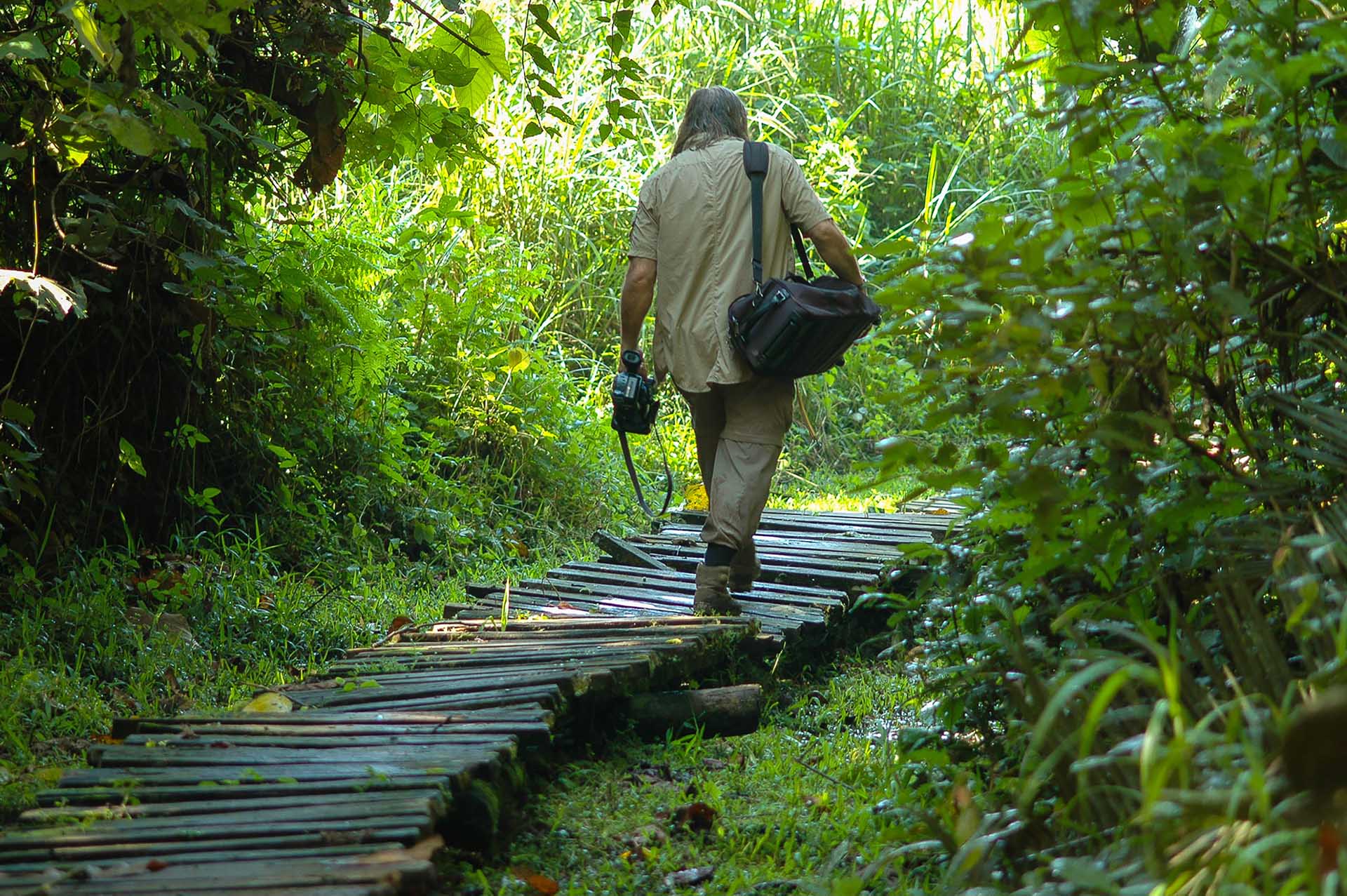 ビゴディ湿地を蛇行しながら進む象徴的なトレイルは、まるで未知の世界を探検する旅路です。多様な動植物が息づく、手つかずの自然の姿を垣間見ることができます。