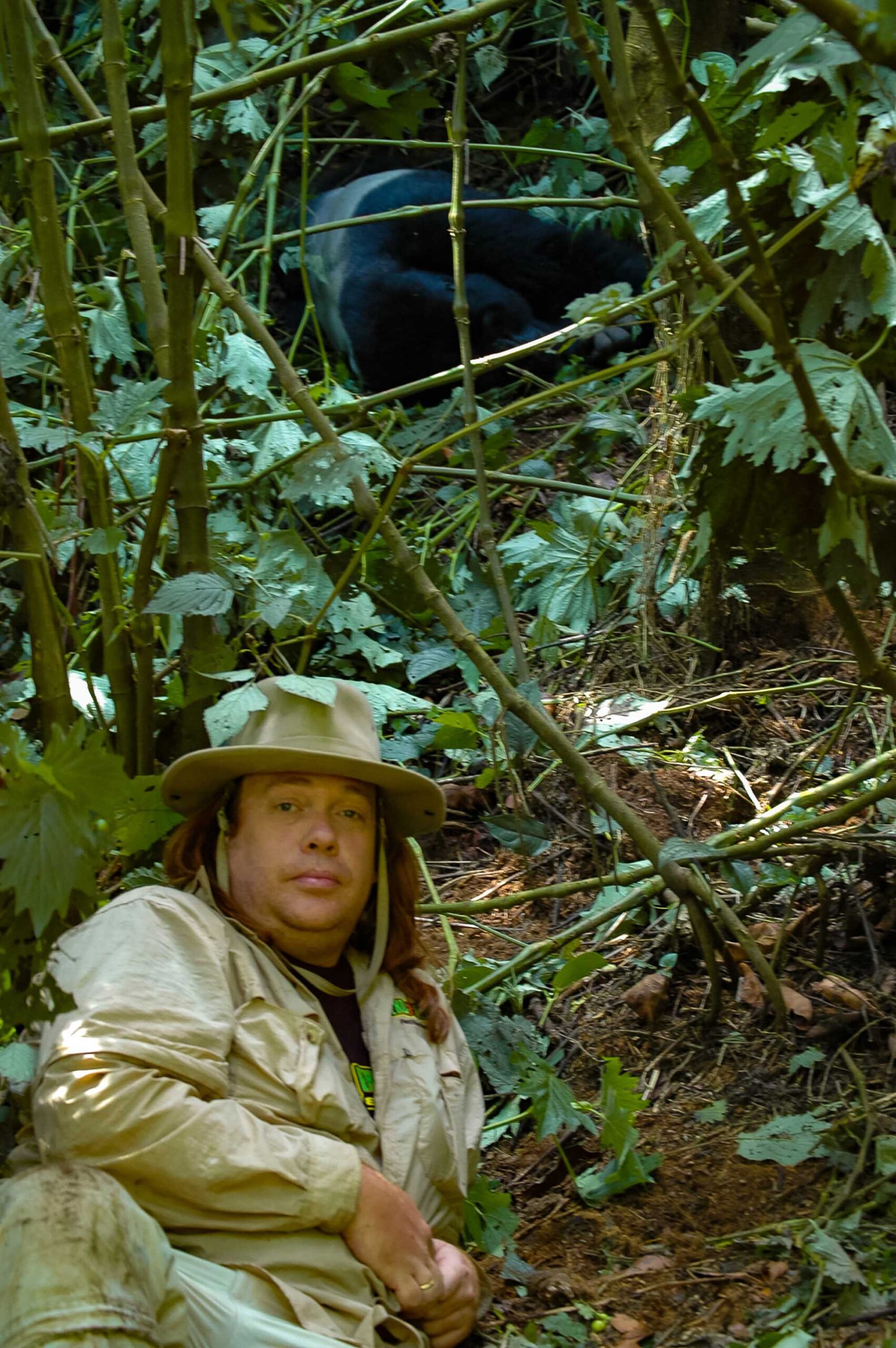 ブウィンディ森林国立公園