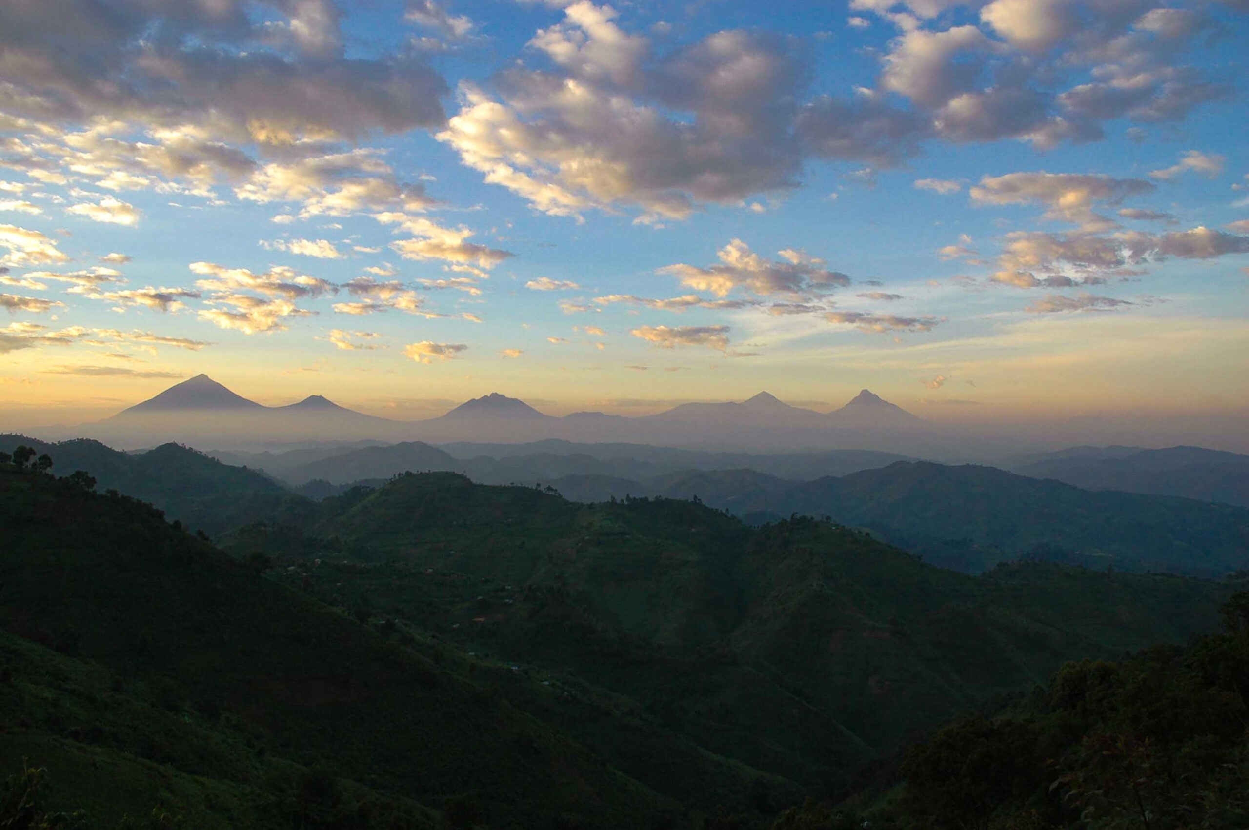 ブウィンディ森林国立公園