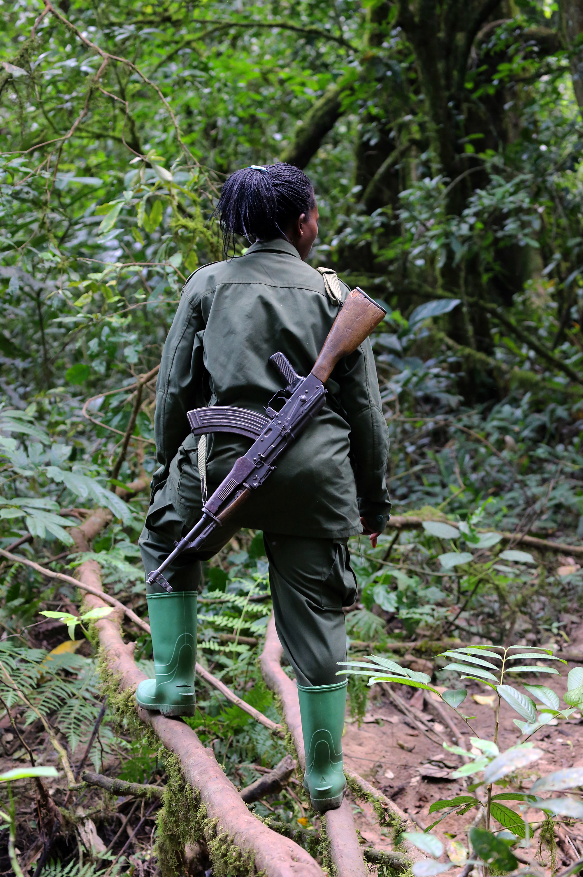 キバレの森における武装ガイド