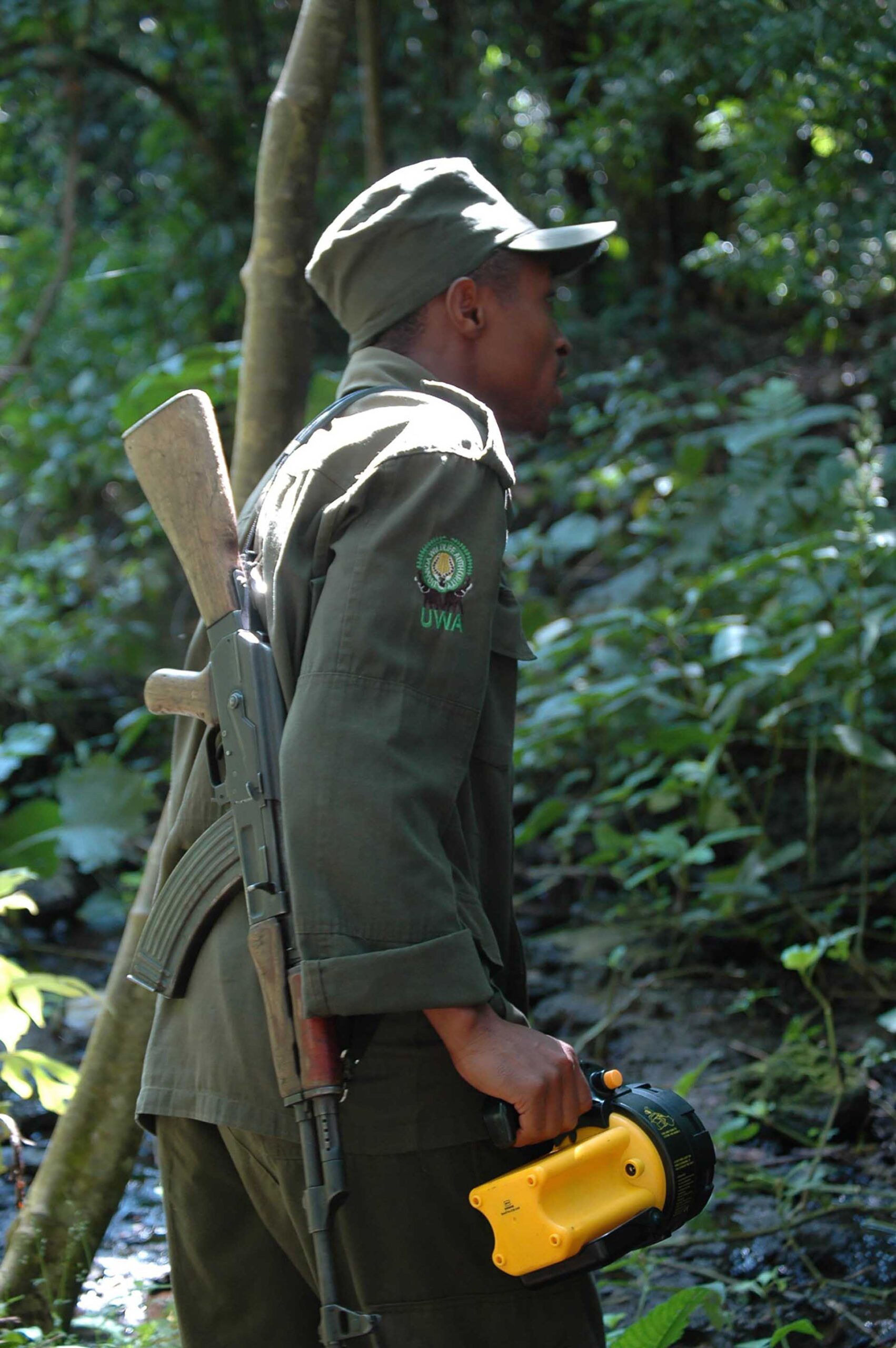 マラマガンボの森