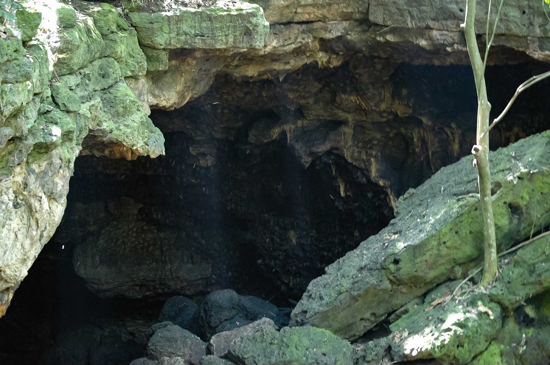 異世界への入り口:コウモリの洞窟の入口は、まるでそこだけに広がる独自の世界を私たちに開いてくれます。