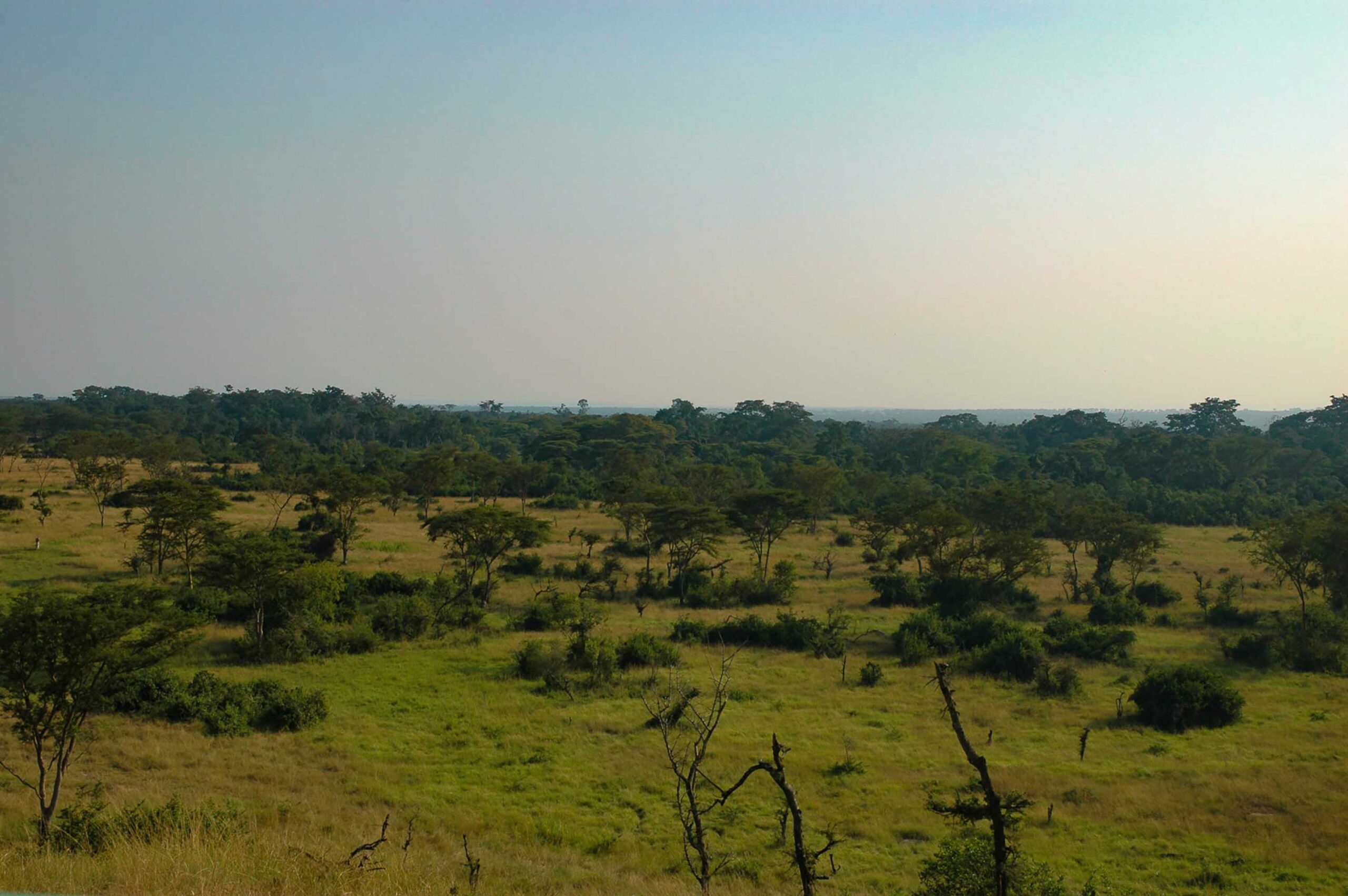 コンゴとの国境沿いで