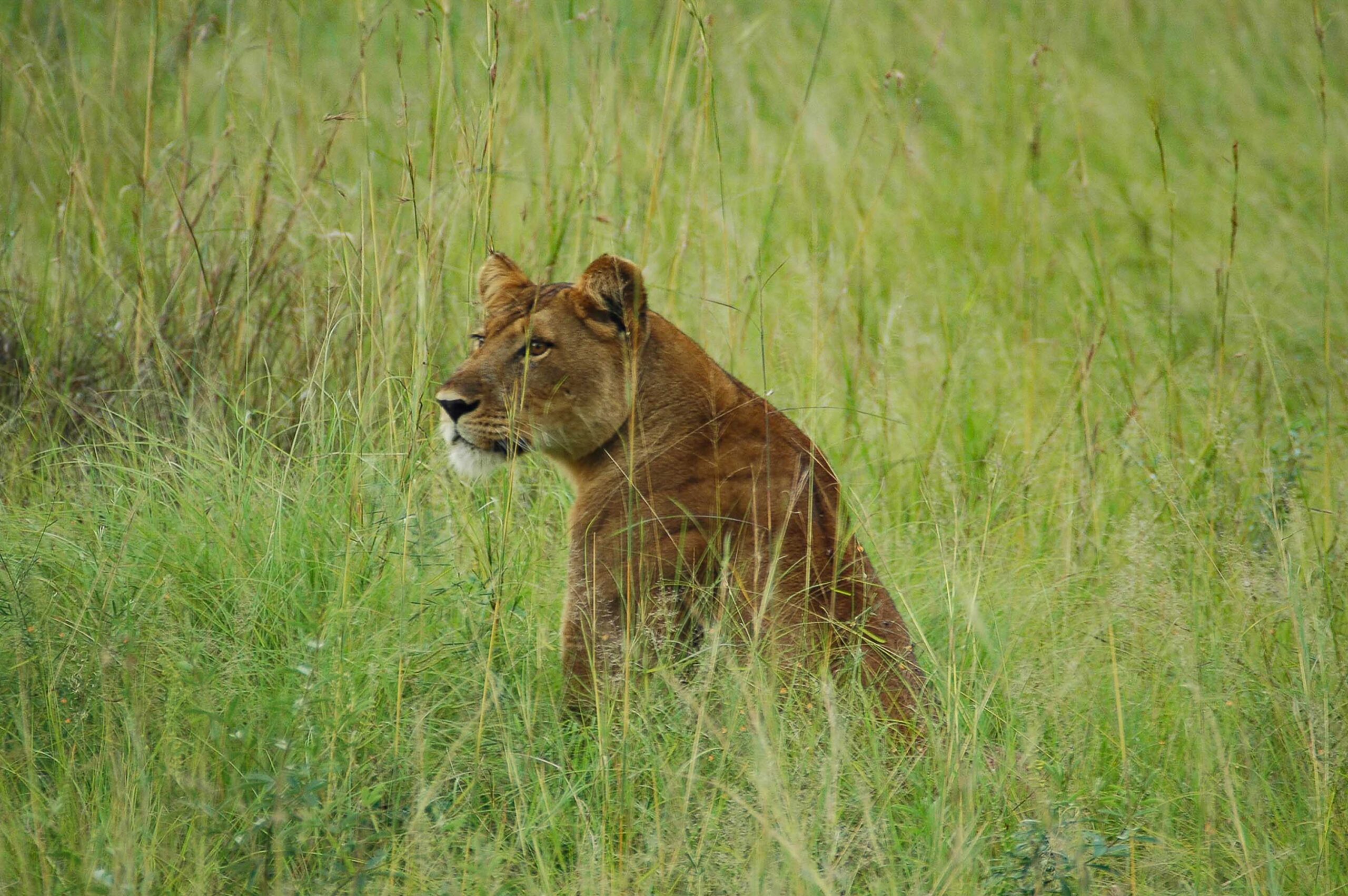 コンゴとの国境沿いで