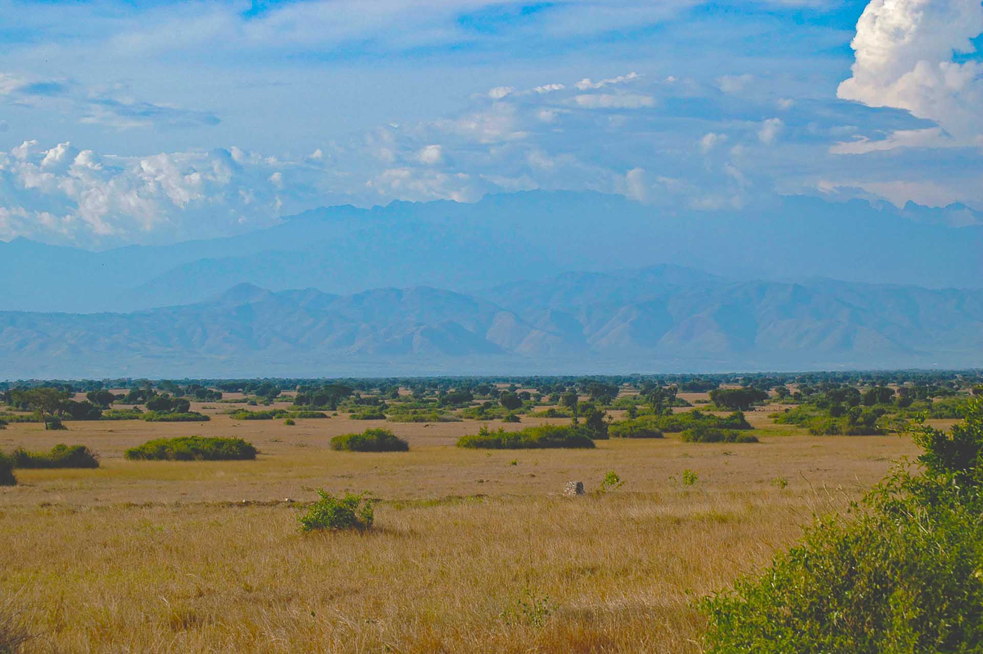 クイーンエリザベス国立公園を巡る旅