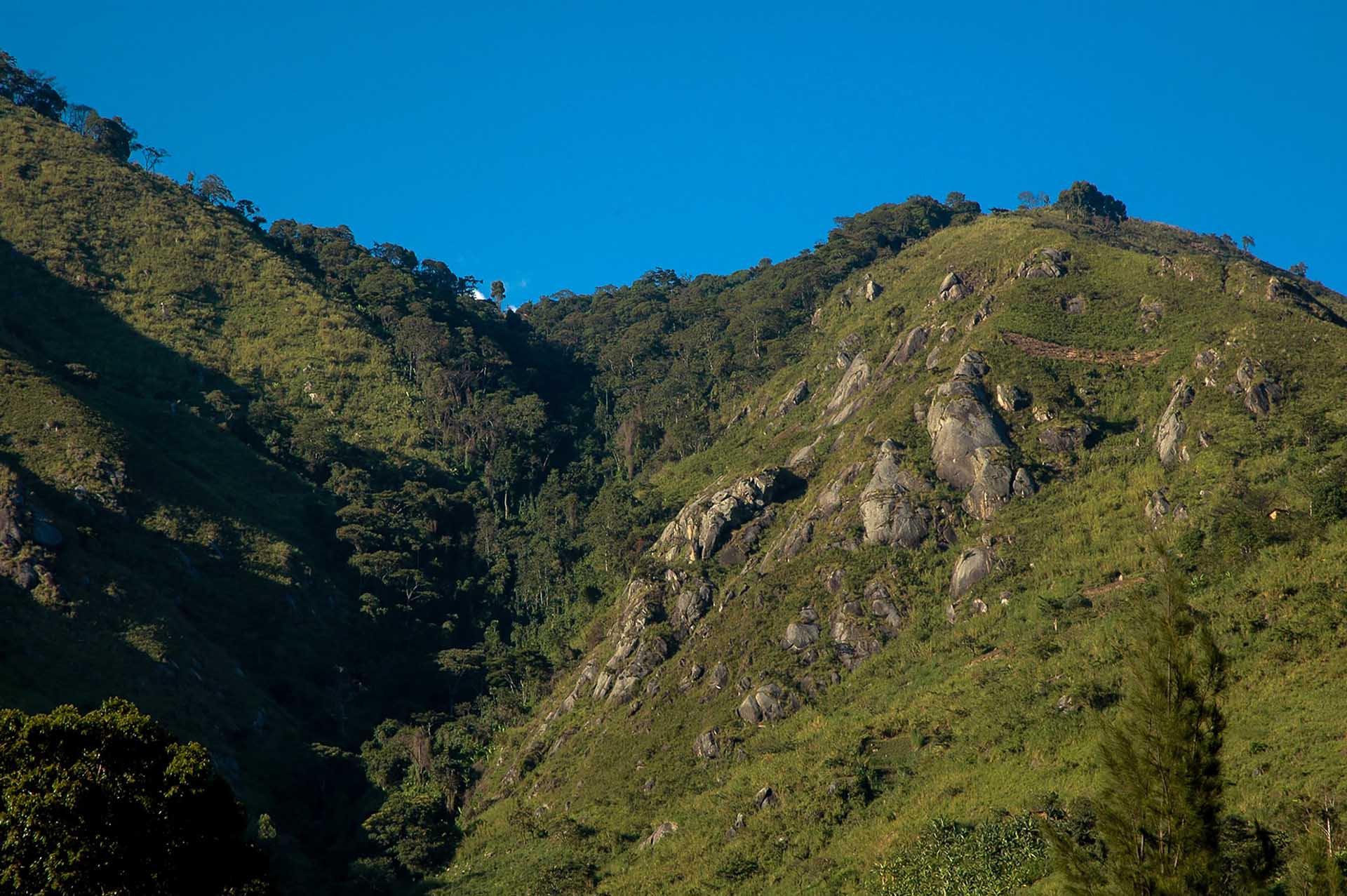 私たちのベースキャンプから眺めると、ルウェンゾリの低い峰々の起伏のあるシルエットが地平線に広がり、手つかずの自然の美しさを描き出しています。