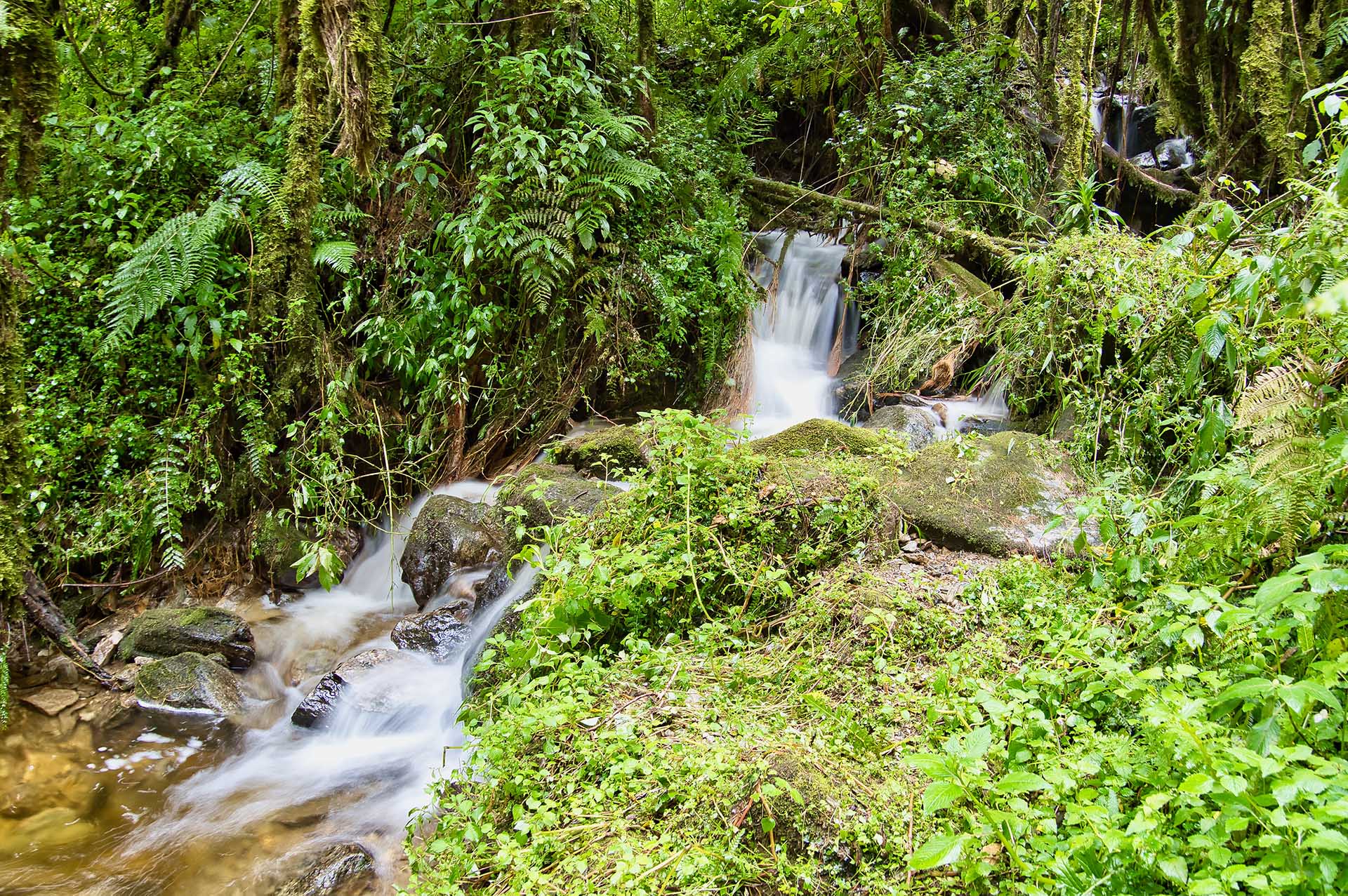 記憶に深く刻まれたルウェンゾリ山地。その雄大な姿と多彩な風景は、訪れる者の魂に消えることのない痕跡を残します。