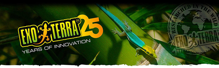 MAKE YOUR REPTILES FEEL AT HOME