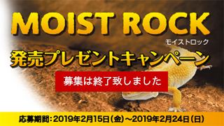 モイストロック発売プレゼントキャンペーン