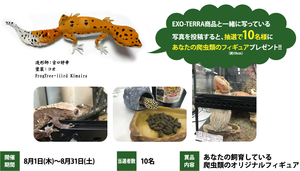 あなたの爬虫類がフィギュアに!キャンペーン