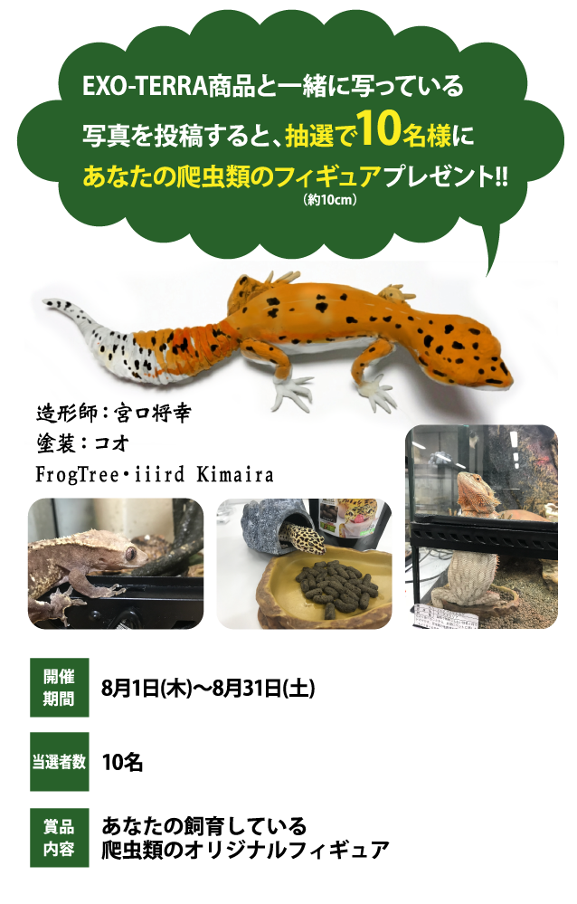 あなたの爬虫類がフィギュアに!キャンペーン